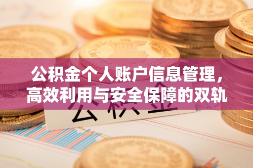化德公积金个人账户信息管理，高效利用与安全保障的双轨并行