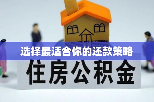 化德选择最适合你的还款策略